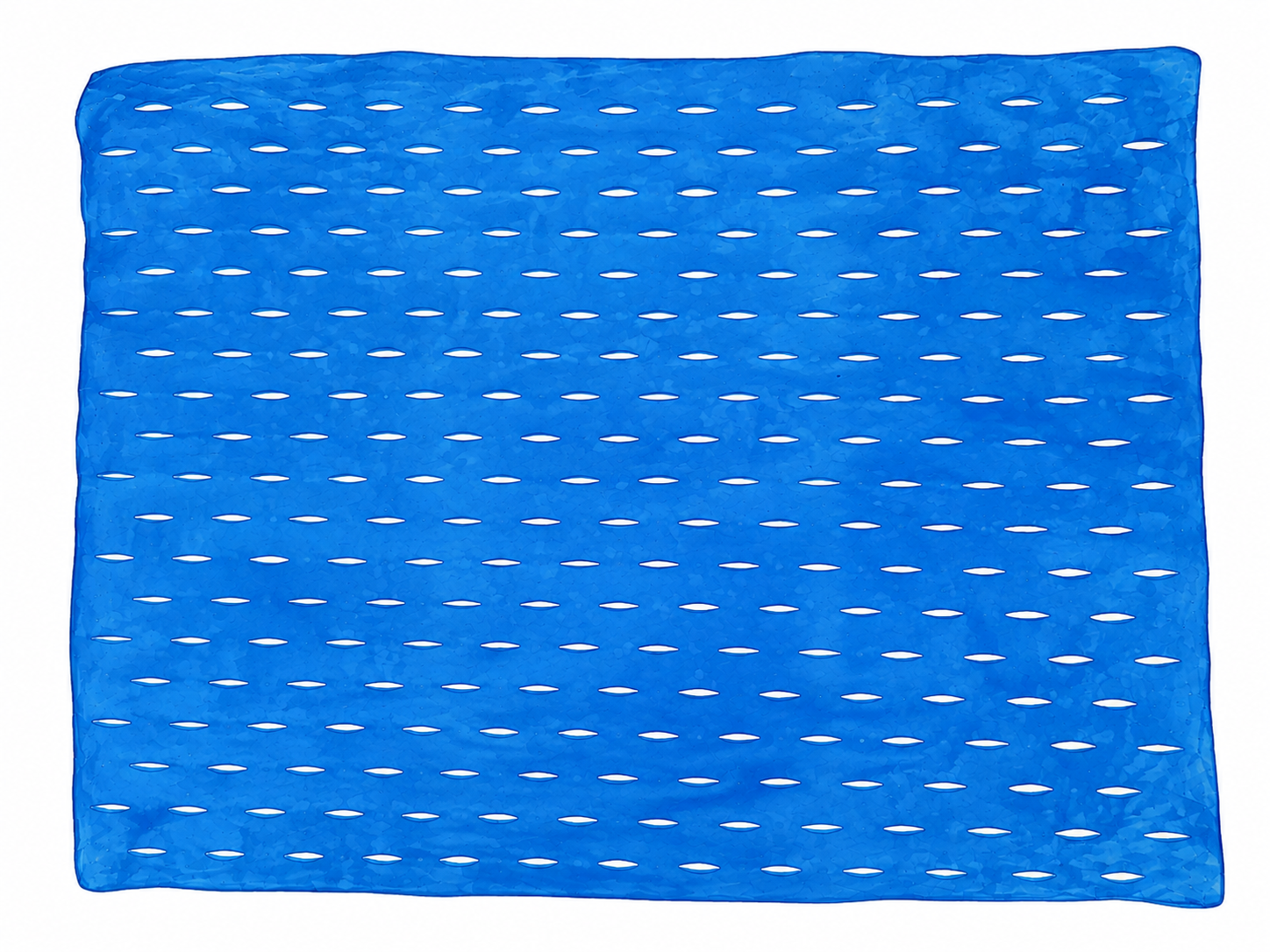 Nanobiocellulose Wound Dressing with Blue Nano Silver Sheet